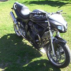 Suzuki 1200 bandit+++byttet+++