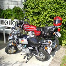 Haojin HJ 125 / Ophugget Tyren´s