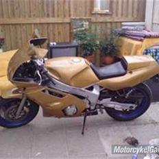 Yamaha FZR 600 "SOLGT"