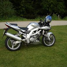 Suzuki sv 1000