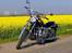 Regal Raptor DD250E-9B