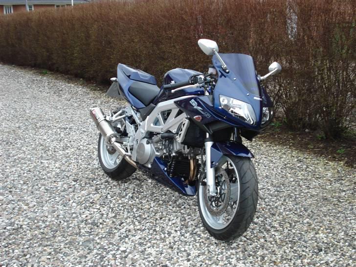 Suzuki SV1000S billede 1