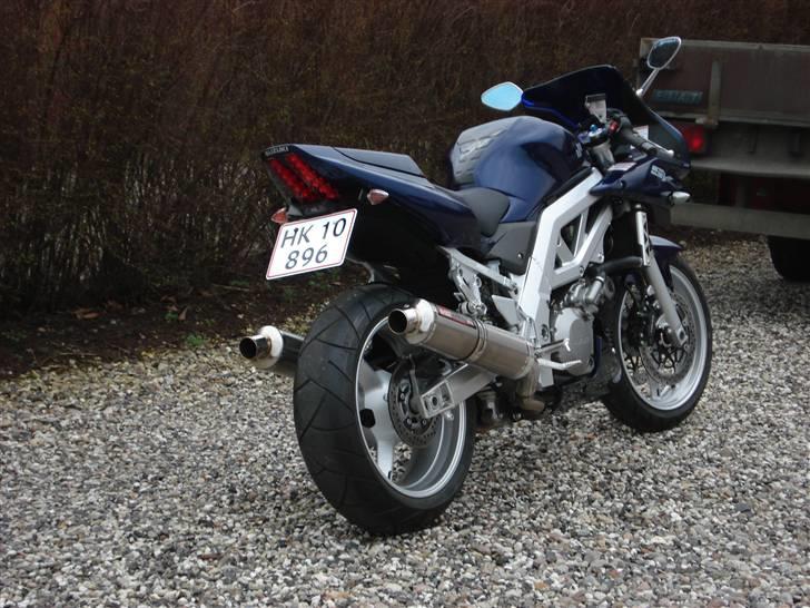 Suzuki SV1000S billede 2