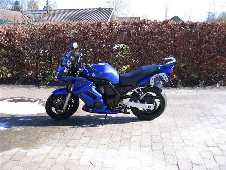 Yamaha FZS 600 billede 1