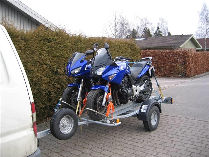 Yamaha FZS 600 billede 9
