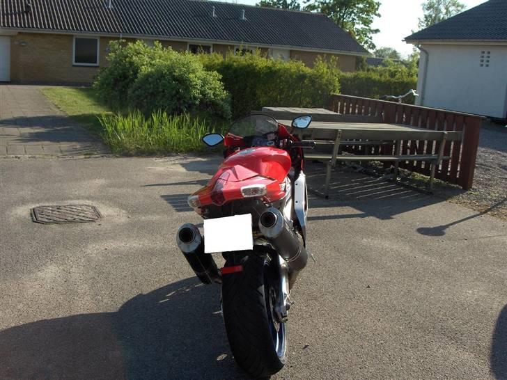 Aprilia RSV 1000 factory billede 8