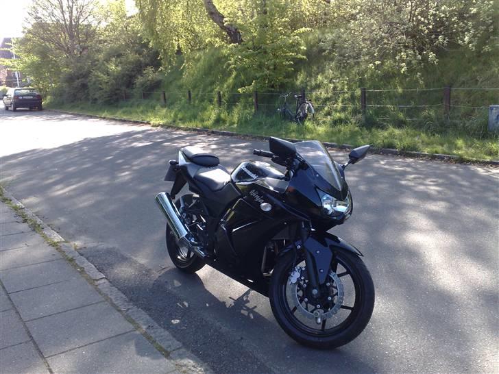 Kawasaki Ninja 250r billede 1