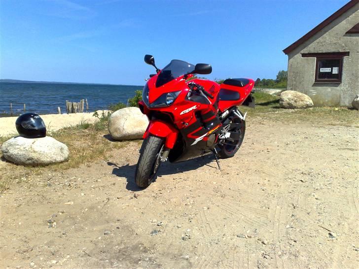 Honda CBR 600 Sport  *Solgt* - Lidt stemning med Vejle fjord i baggrunden... billede 1
