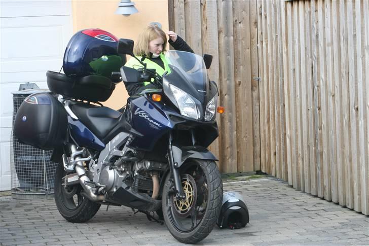 Suzuki DL 1000 billede 7