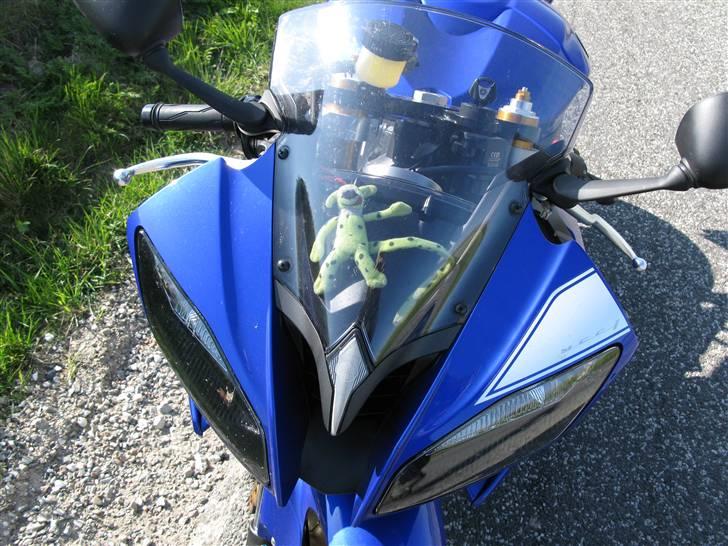 Yamaha YZF R6 - EFTERLYSNING et fedtøre har stjålet min Spril. Den har nu passet på mig i 7 år... Skod.  billede 2