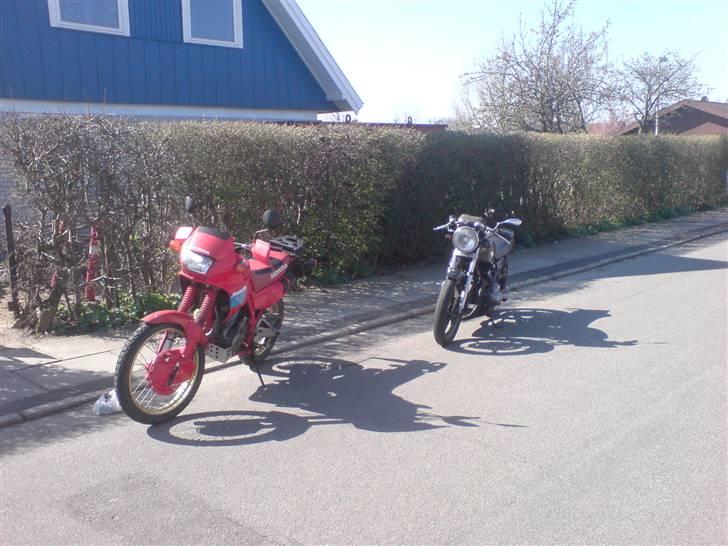 Honda nx dominator(Supermotard) - sidste dag med 2 mcer billede 9