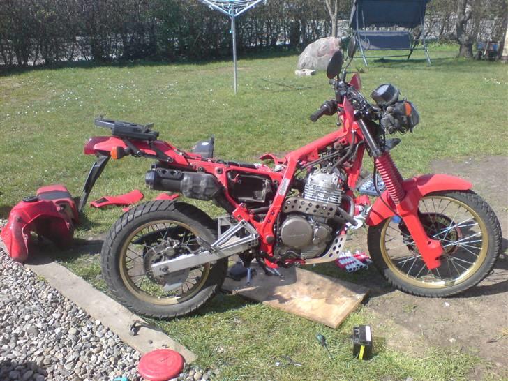 Honda nx dominator(Supermotard) - strippet billede 10