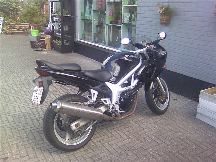 Suzuki sv650 billede 2
