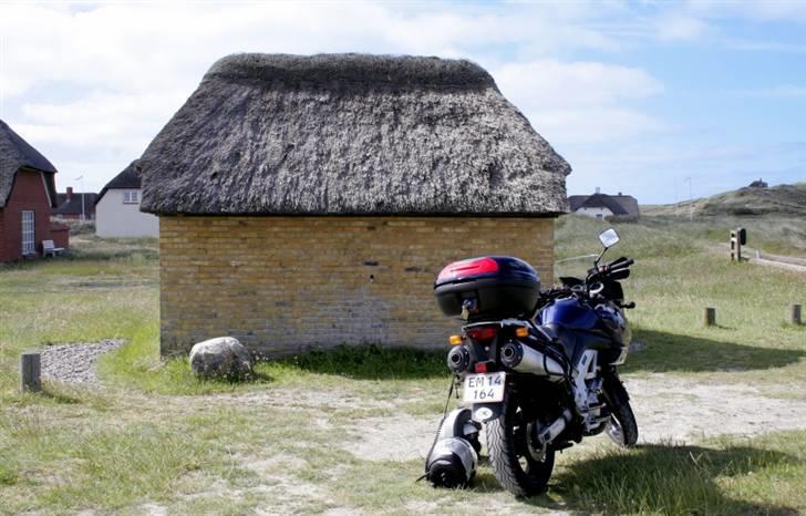 Suzuki DL 1000 billede 18