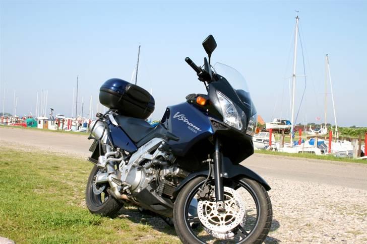 Suzuki DL 1000 billede 19