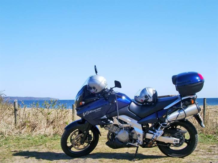 Suzuki DL 1000 billede 20