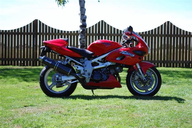 Suzuki TL1000S billede 1