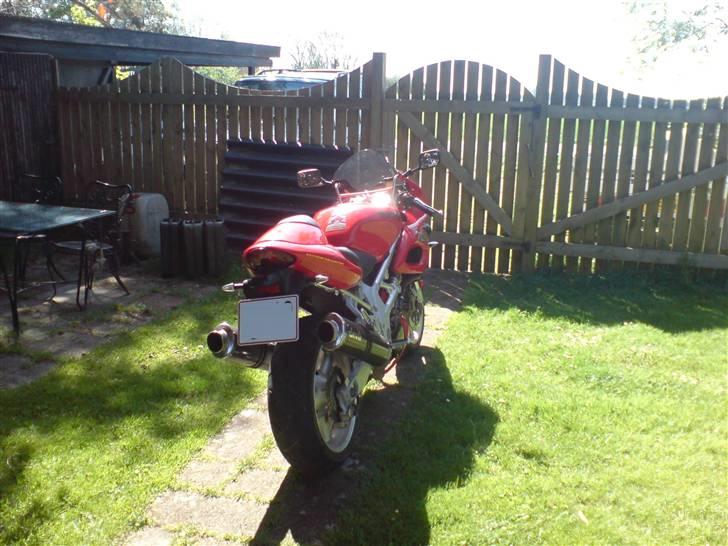 Suzuki TL1000S - Klar til en morgentur billede 2