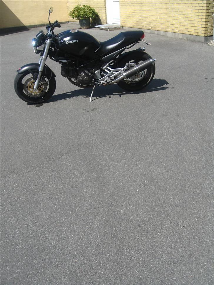 Ducati Monster 600 Dark billede 12