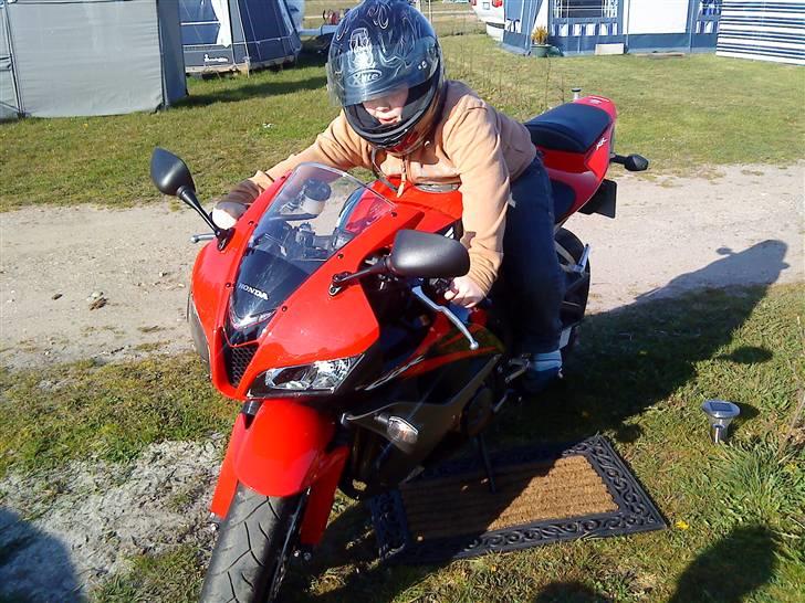 Honda CBR 600rr billede 6