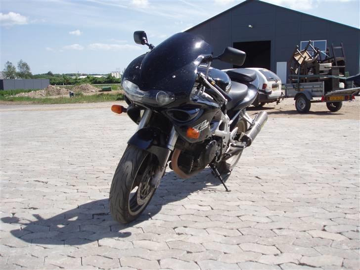 Suzuki TL 1000S billede 1