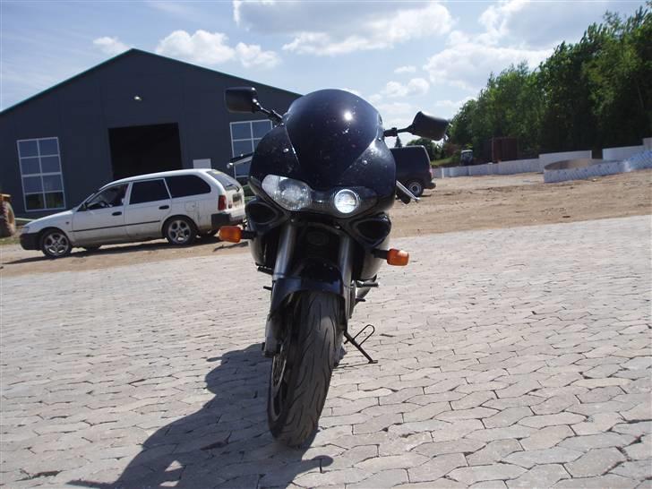 Suzuki TL 1000S billede 7