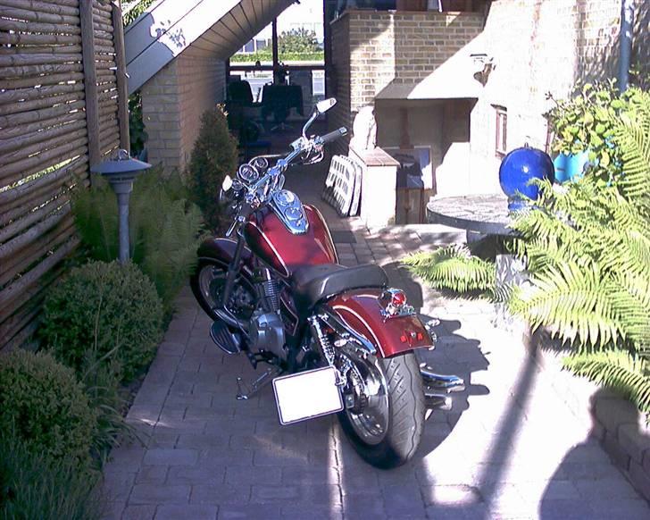 Lifan 250-4 Custom billede 1