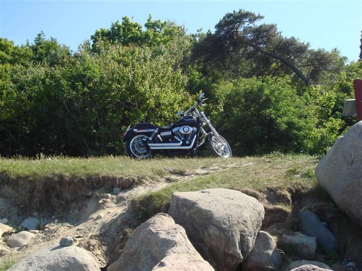 Harley Davidson FXDB Street Bob billede 2