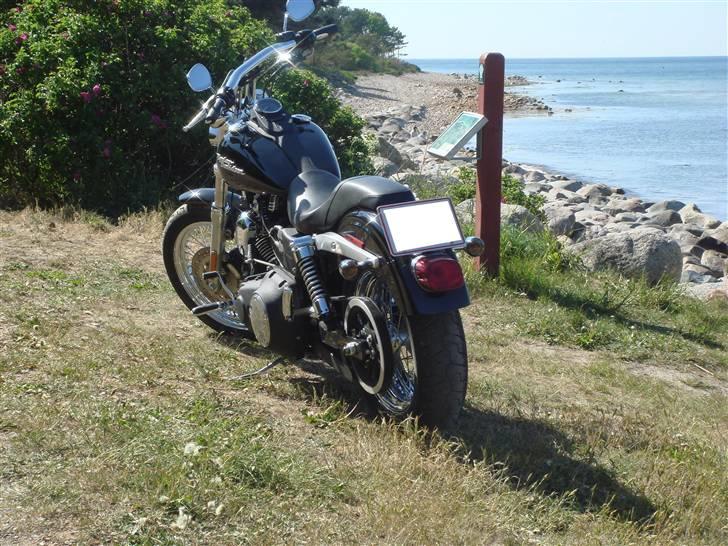 Harley Davidson FXDB Street Bob billede 3