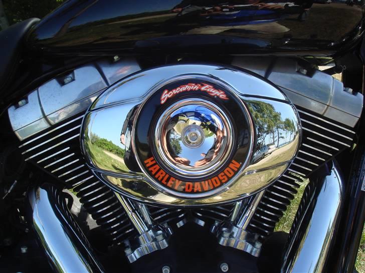 Harley Davidson FXDB Street Bob billede 12