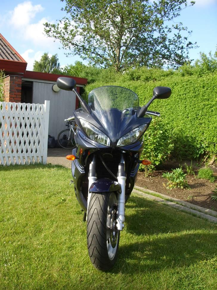 Yamaha FZ6 billede 9