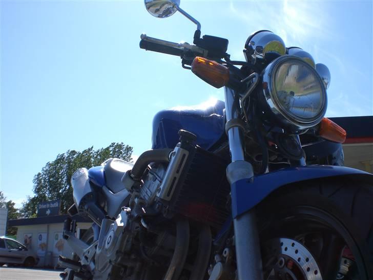 Honda cb 600 f hornet - maj 08 billede 7
