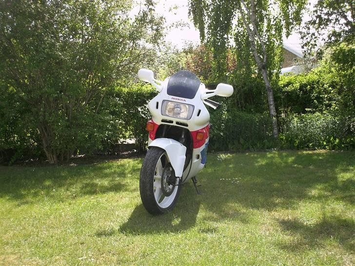 Honda cbr 600 billede 4