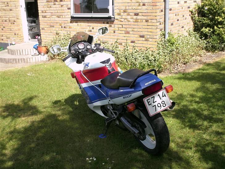 Honda cbr 600 billede 6