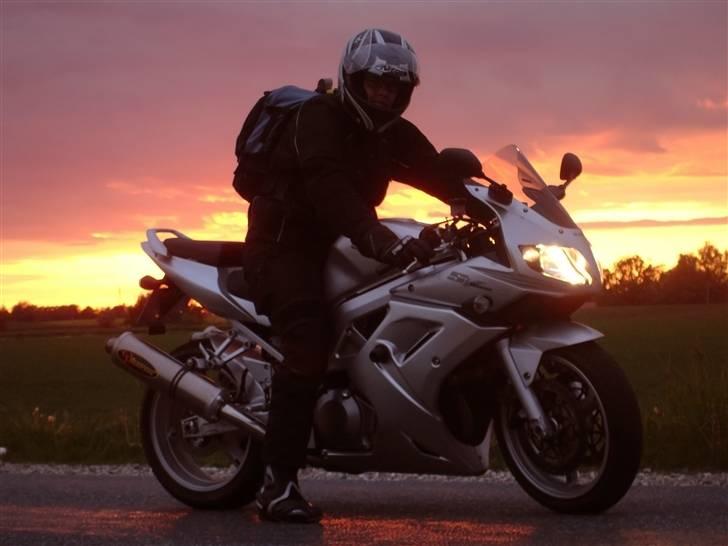 Suzuki SV1000s billede 2