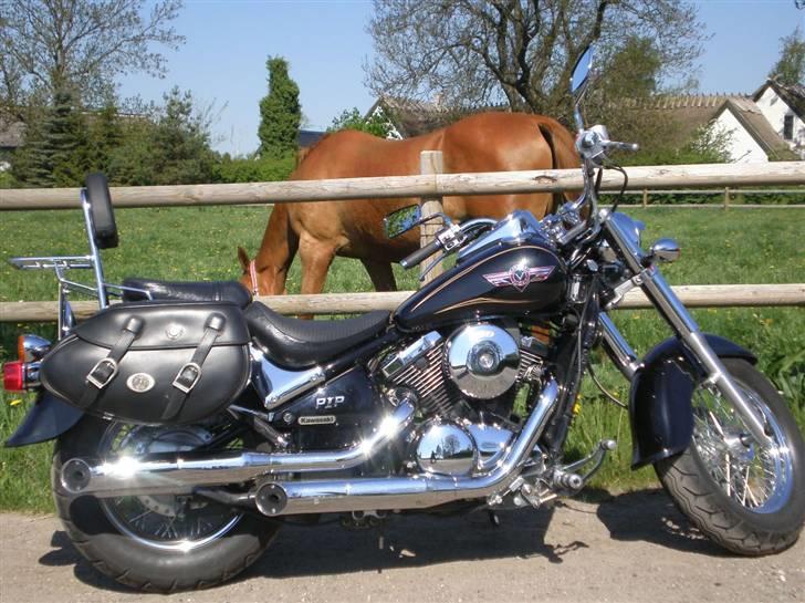 Kawasaki VN800 CLASSIC - Gammeldags hestekræft.....& Moderne hestekræfter. billede 18