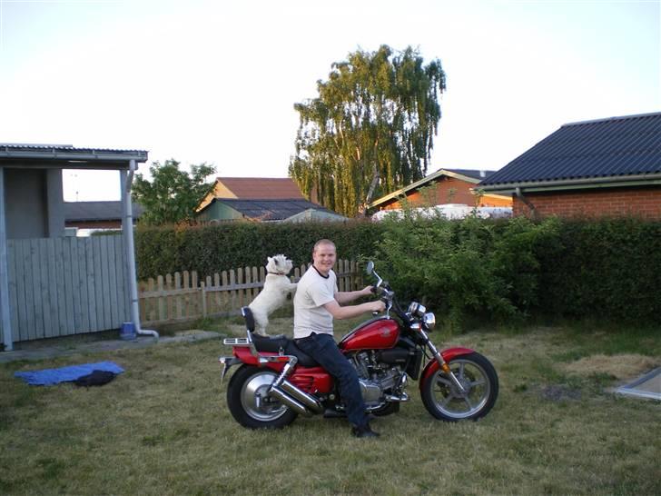 Honda Super Magna *SOLGT* - Min anden kærlighed billede 3