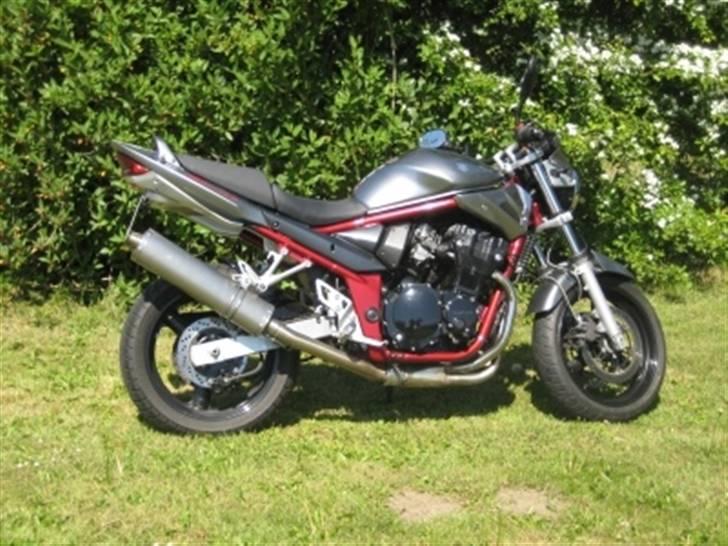 Suzuki GSF 650 Bandit  R.I.P - Banditte i solen..:-) billede 16