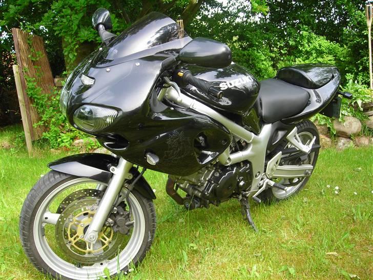 Suzuki SV650s (død) billede 1