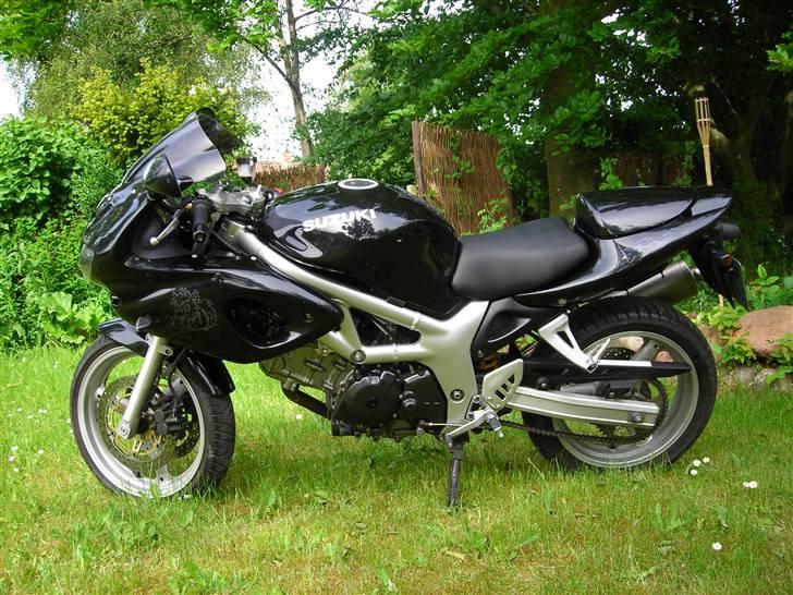 Suzuki SV650s (død) billede 2