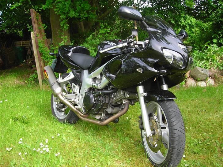Suzuki SV650s (død) billede 3