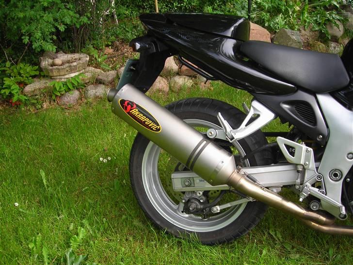 Suzuki SV650s (død) billede 6