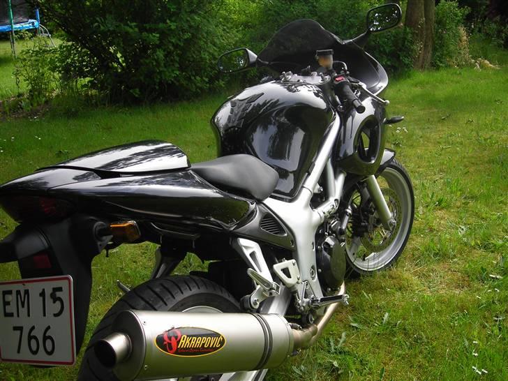 Suzuki SV650s (død) billede 7