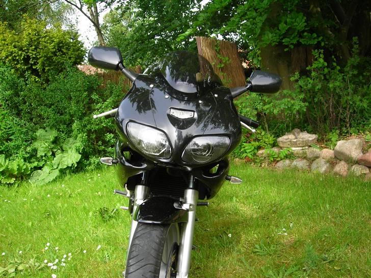 Suzuki SV650s (død) billede 8