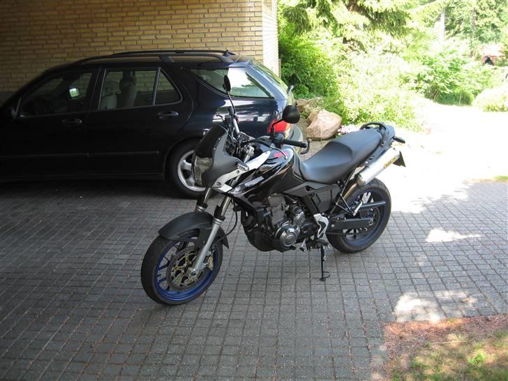 Aprilia Pegaso Strada billede 5