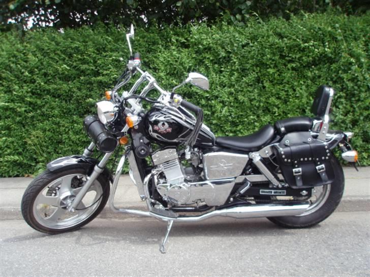 Regal Raptor DD250E-9B - 250 cc motor billede 14