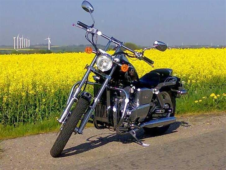 Regal Raptor DD250E-9B billede 16