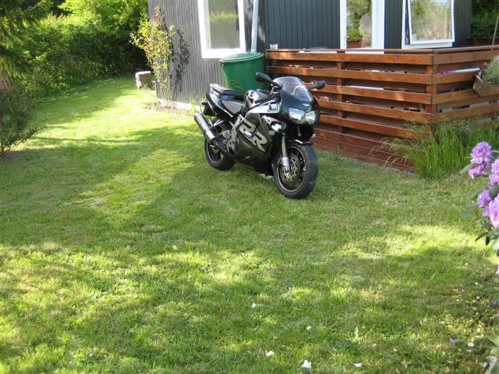 Honda CBR 900 RR - SOLGT-  billede 15