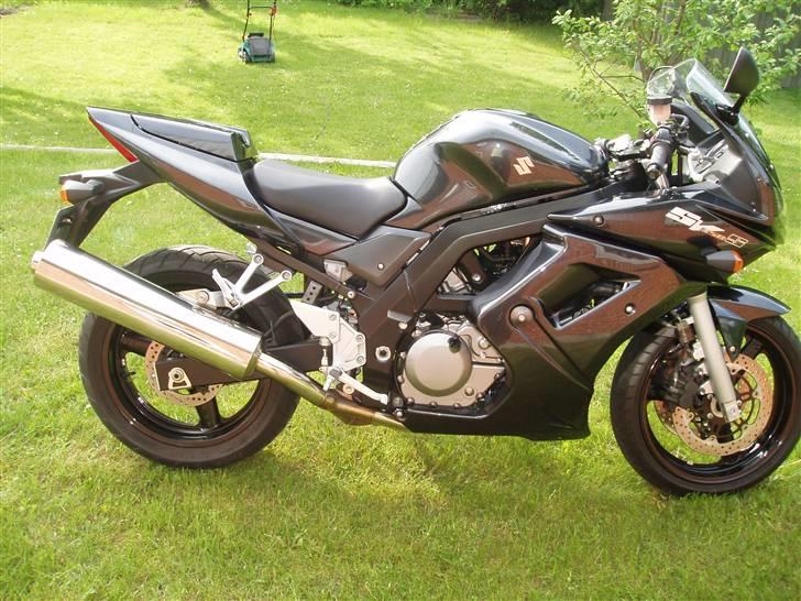 Suzuki SV 650 S - Og endnu et fra da jeg fik den billede 2