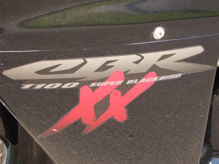 Honda CBR 1100 XX Blackbird billede 13